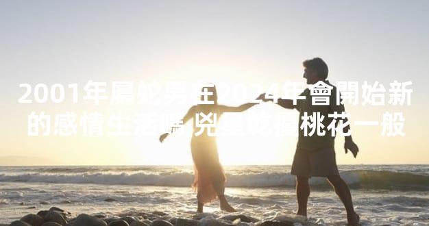 2001年屬蛇男在2024年會開始新的感情生活嗎 兇星乾擾桃花一般